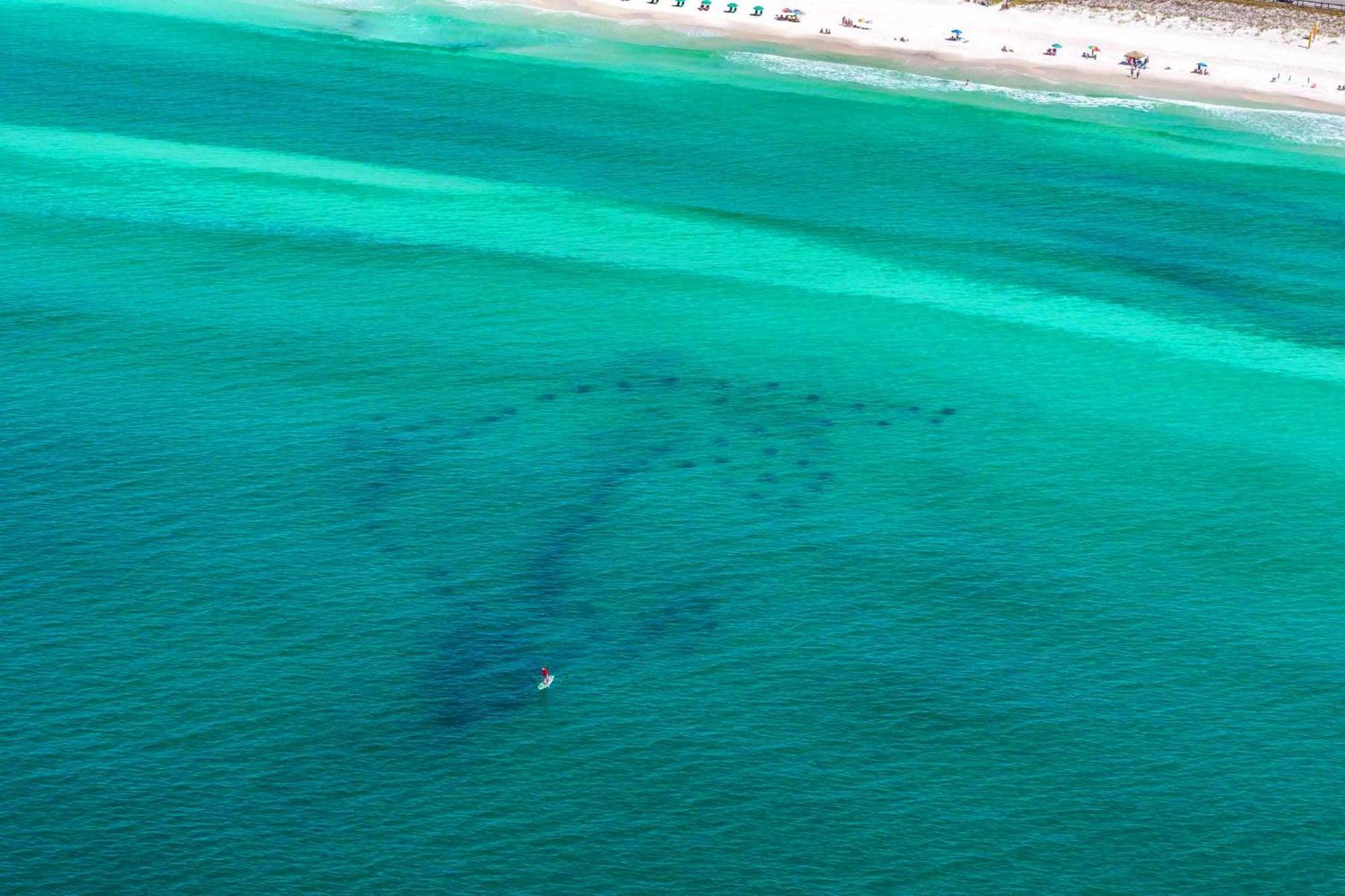 Ariel Dunes I 1307 Destin Dış mekan fotoğraf